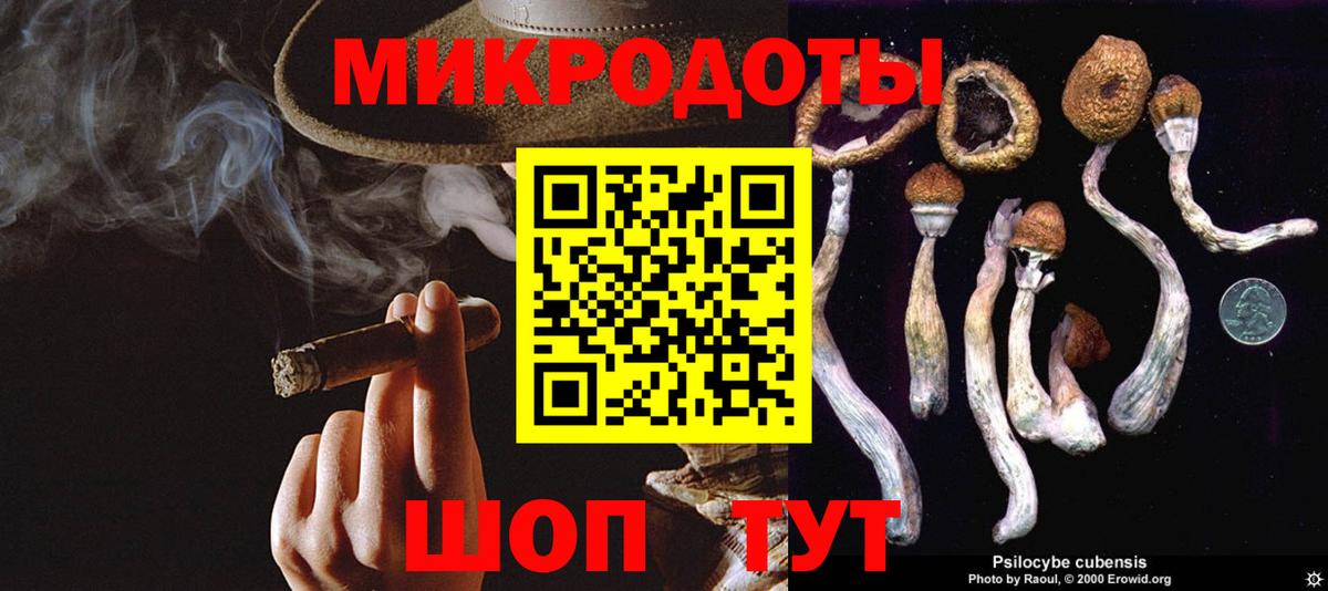 Псилоцибиновые грибы Psilocybine cubensis Можайск